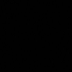 Meet your Posher, Ferman